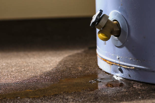 Best Local water damage restoration  in Three Forks, MT