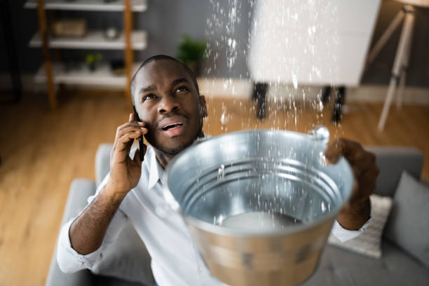 Best Water damage contractors near me  in Three Forks, MT