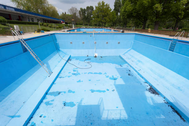 Best Basement water damage restoration  in Three Forks, MT