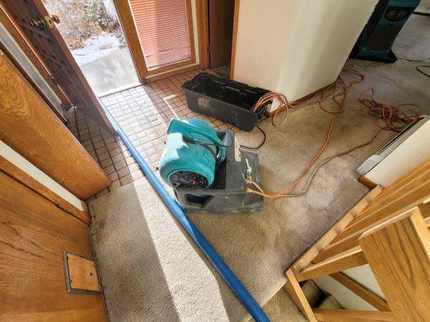 Best Mold removal after water damage  in Three Forks, MT