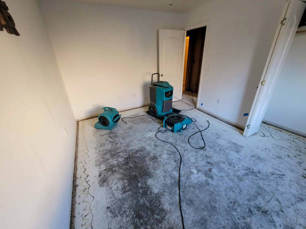 Best Local water damage restoration  in Three Forks, MT