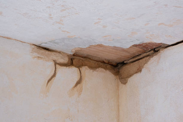 Trusted Three Forks, MT Water damage restoration Experts