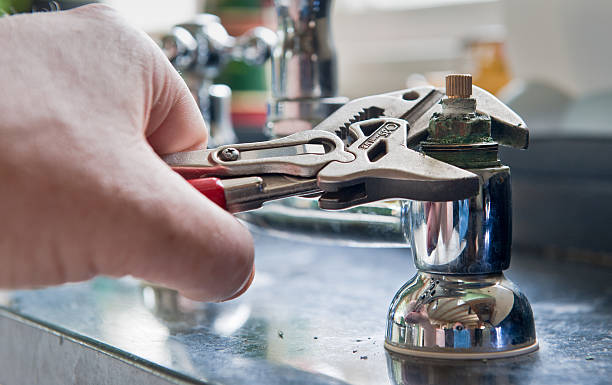 Best Water damage cleanup near me  in Three Forks, MT