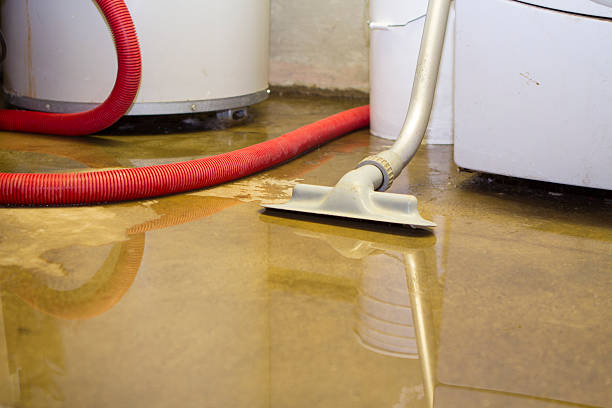 Best Carpet water damage restoration  in Three Forks, MT