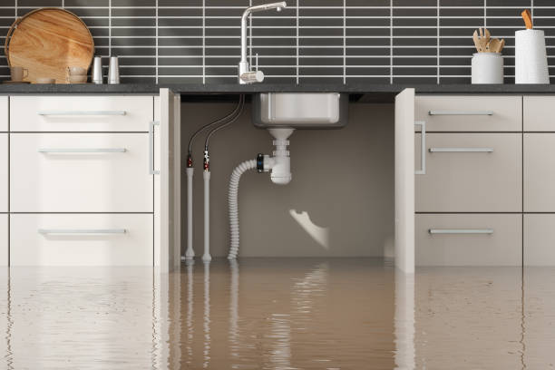  Three Forks, MT Water damage restoration Pros